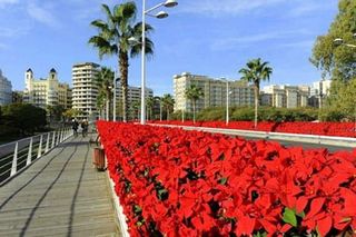 Piso en venta en Mestalla en Valencia