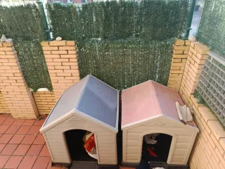 Caseta para perro económico