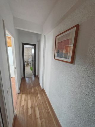 Piso en alquiler en Pla de Bon Repós en Alicante