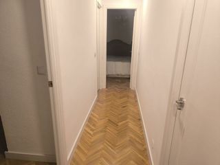 Piso en alquiler en Campo Grande - Arco Ladrillo en Valladolid