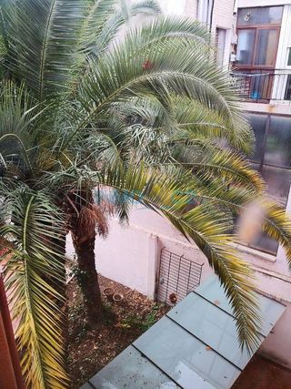 Piso en alquiler en Casco Histórico en Alcalá de Henares