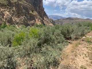 Terreno en venta en Lanjarón