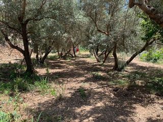 Terreno en venta en Lanjarón