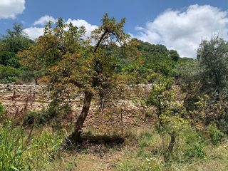 Terreno en venta en Lanjarón