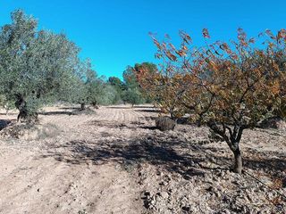 Casa rural en venta en Yecla