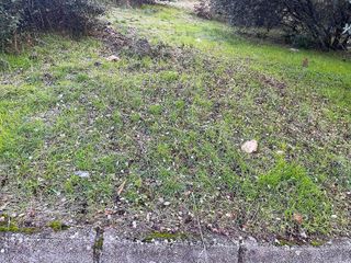 Terreno en venta en Casar (El)