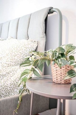 Piso en venta en Auditorio - Parque Invierno en Oviedo