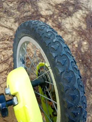 Bicicleta infantil verde con ruedines