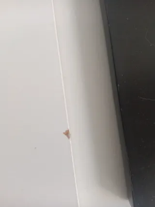 Specchi Quadrati Ikea Neri e Bianchi