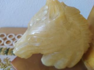 Supporto libri Testa di Cavallo