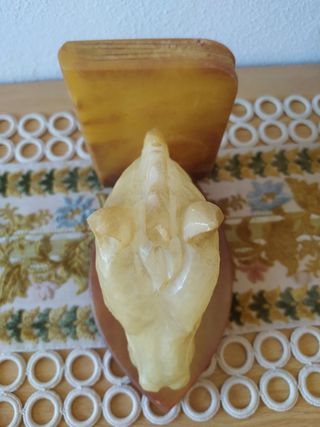 Supporto libri Testa di Cavallo