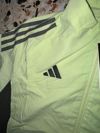 Chaqueta Real Madrid Adidas Verde y Negra