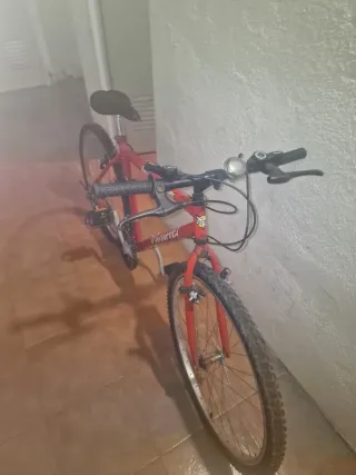 2 Bicicletas de montaña