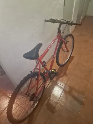 2 Bicicletas de montaña