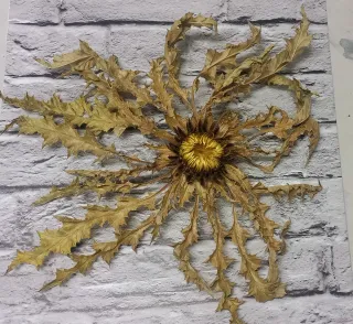 Eguzkilore Natural 38x40cm