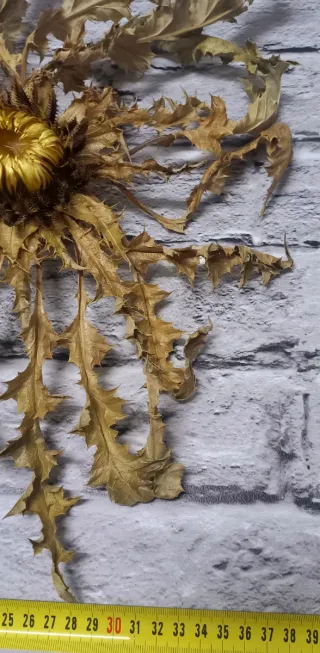 Eguzkilore Natural 38x40cm