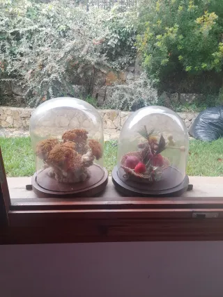 2 Urnas de Cristal Antiguas