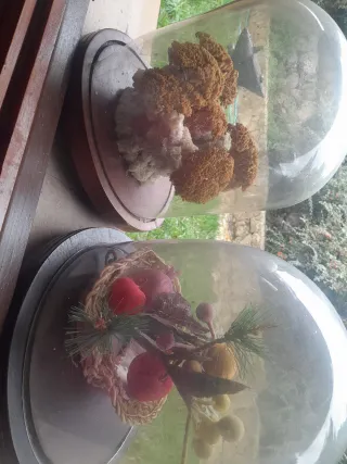 2 Urnas de Cristal Antiguas