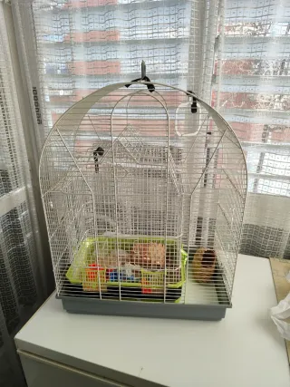 Gabbie per uccelli grandi e medie