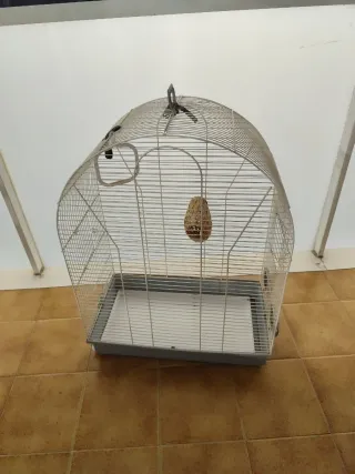 Gabbie per uccelli grandi e medie