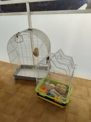 Gabbie per uccelli grandi e medie