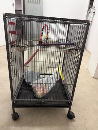 Gabbia per uccelli nera