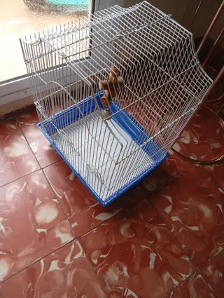 Gabbia per uccelli blu e bianca