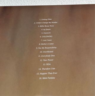 Billie Eilish - Happier Than Ever Sienna Vinyl