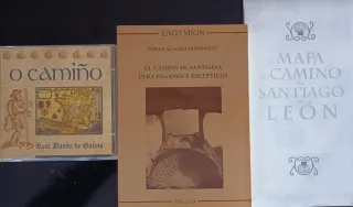 SANTIAGO DE COMPOSTELA. Guía del peregrino y...