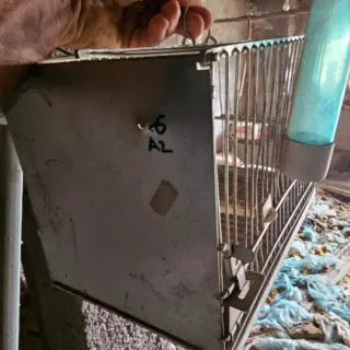 6 gabbie in alluminio