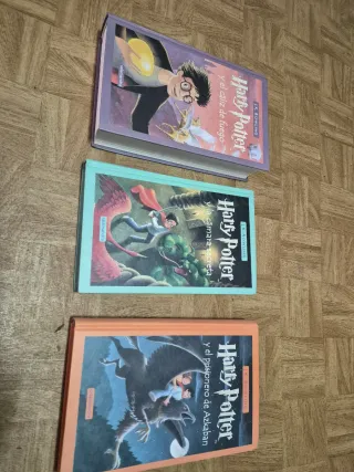 Lote 3 Libri di Harry Potter (Salamandra) da leggere...