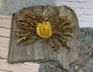 Llamativo eguzkilore natural sobre madera vieja