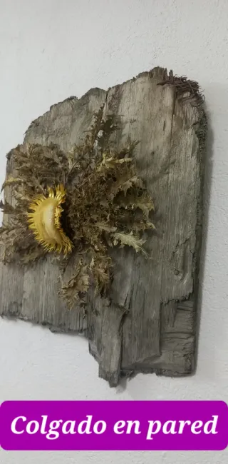 Llamativo eguzkilore natural sobre madera vieja