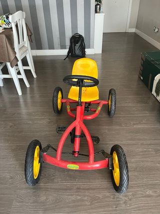 Triciclo Berg Buddy para niños
