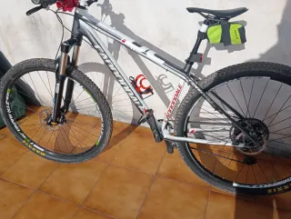 Bicicleta de Montaña