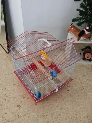 Gabbia per uccelli o criceti