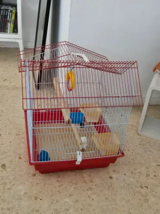 Gabbia per uccelli o criceti