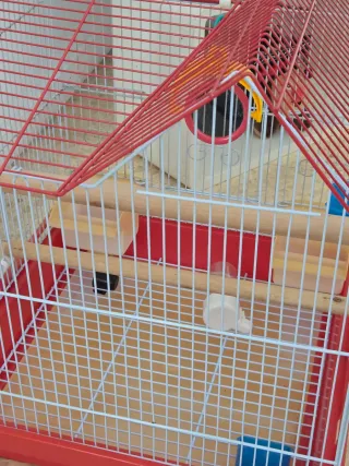 Gabbia per uccelli o criceti