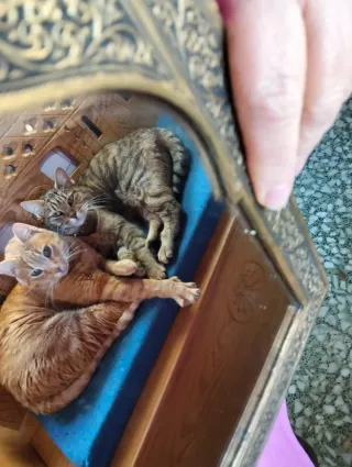 Specchio arabo in metallo dorato e cristallo