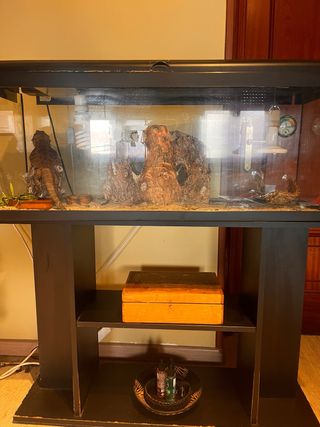 Terrario completo con mueble y kit ambiental