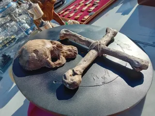 Teschio e ossa incrociate Vanitas