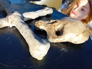 Teschio e ossa incrociate Vanitas