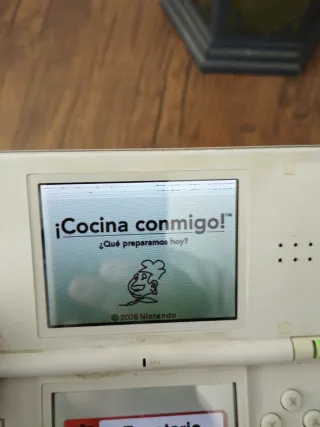 Nintendo DS Blanca LEER