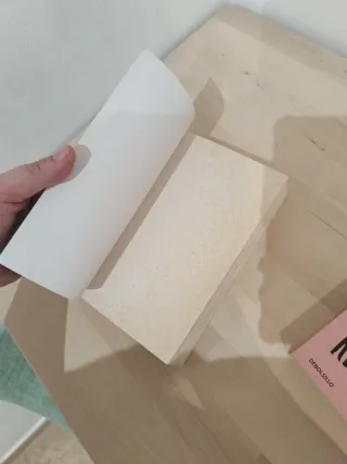 Fuimos canciones Seremos recuerdos