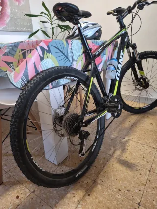 Bicicleta GIANT REVEL