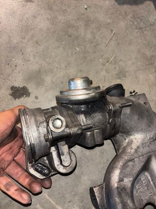 Colector admision y EGR Seat Ibiza 1.9 TDI FR