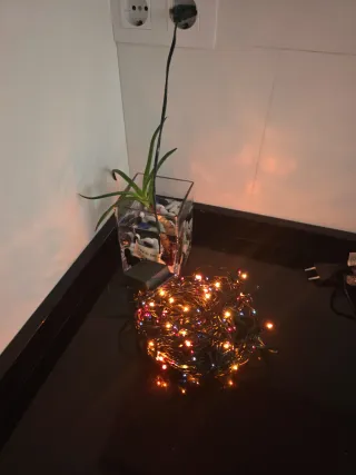 Luci di Natale Multicolor