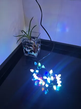 Luci di Natale in Cristallo