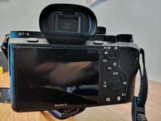 Sony a7rII + Tamron 150-500mm