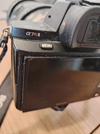 Sony a7rII + Tamron 150-500mm